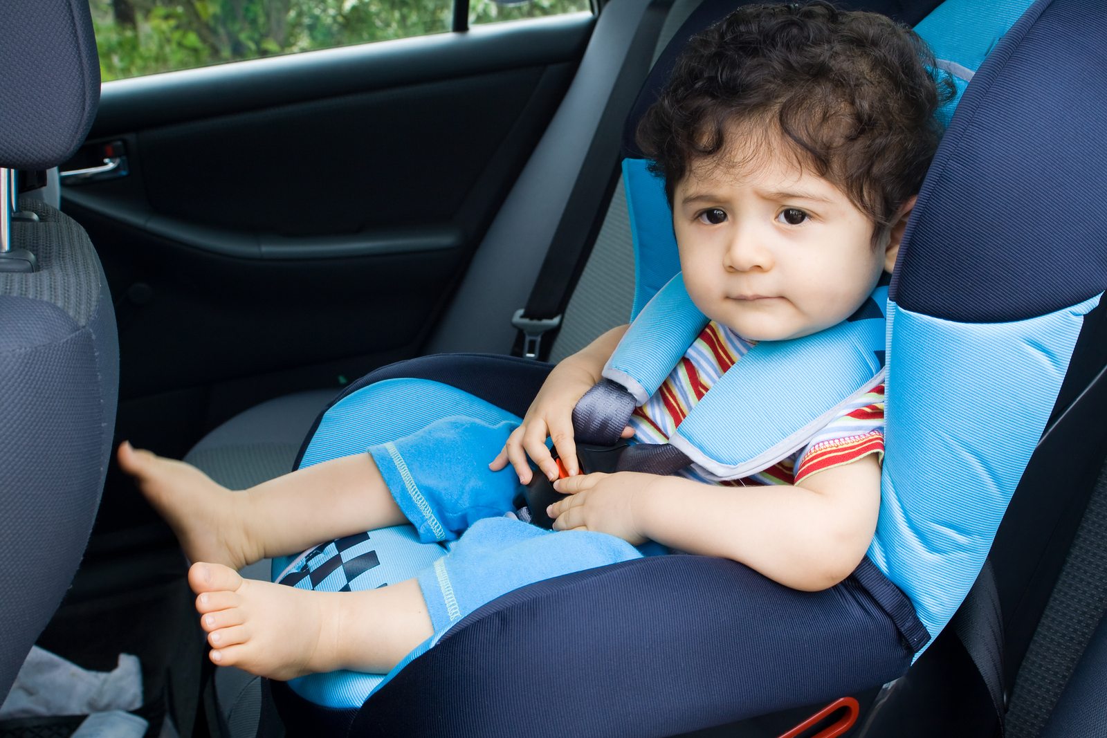 Car Seat Laws California 101 A